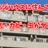 ビレッジハウスの湿気やカビ、虫がやばい・・・
